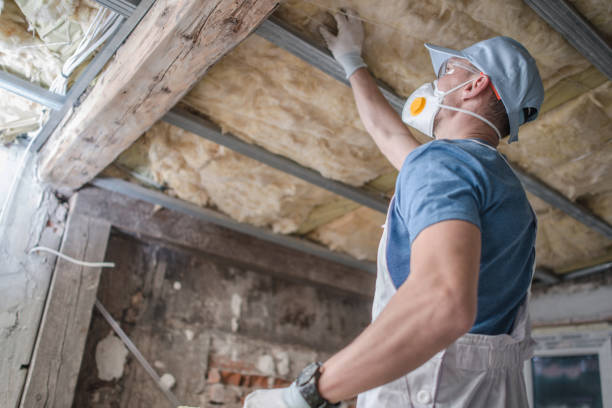 Best Commercial Insulation in Bath, MI