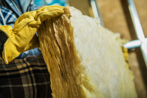 Best Eco-Friendly Insulation in Bath, MI